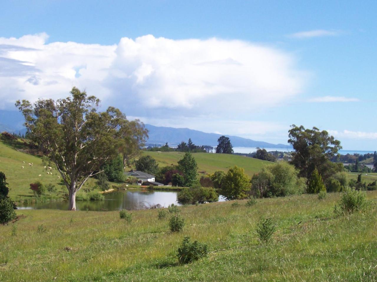 Tasman Farmstay Retreat Glenmhor Dış mekan fotoğraf