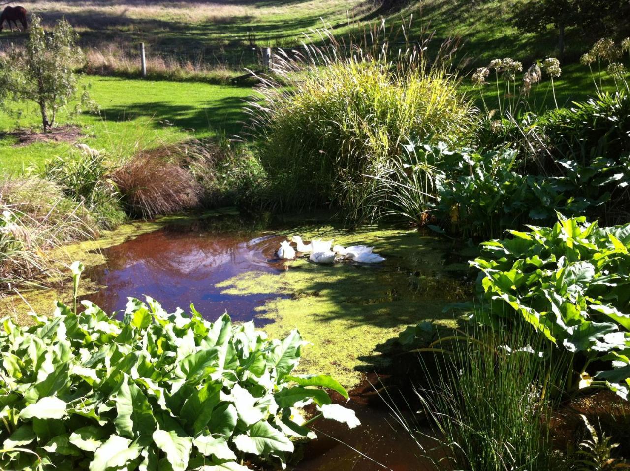 Tasman Farmstay Retreat Glenmhor Dış mekan fotoğraf